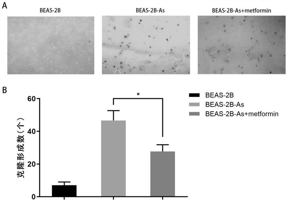 Application of metformin in preparation of medicine for preventing arsenic-induced lung cancer