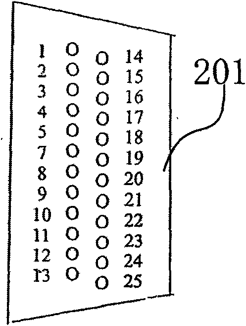 Conductor bundle detection system