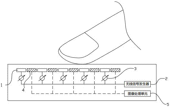 Living fingerprint recognition device