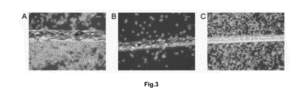 In vitro biosimulator to induce pattern formation in non-adherent cells