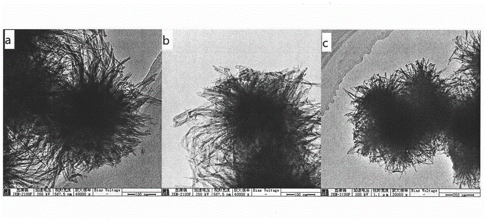 Method for treating arsenic in water with high-specific-surface-area Schwertmannite adsorbent