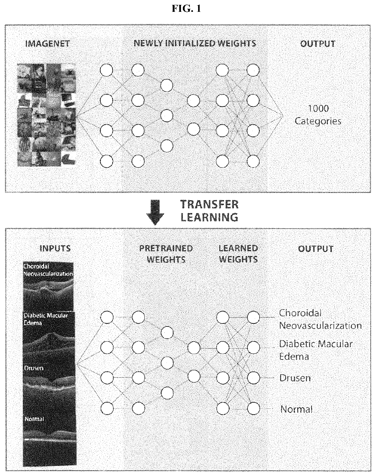 Deep learning-based diagnosis and referral of ophthalmic diseases and disorders