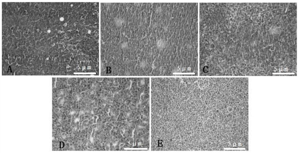 Application of turnip acidic polysaccharide BRAP-2