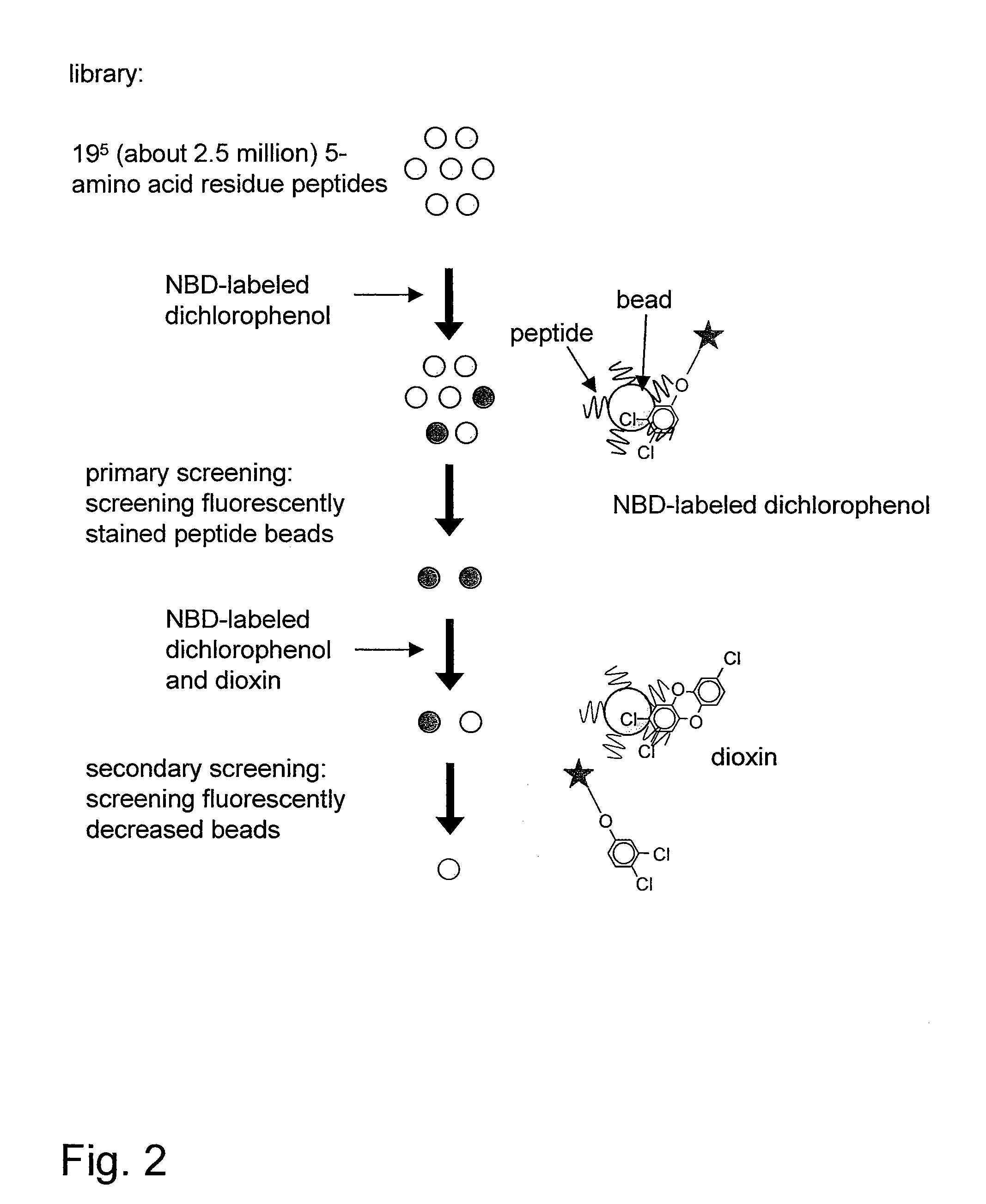 Dioxin-Binding Material and Method of Detecting or Quantifying Dioxin