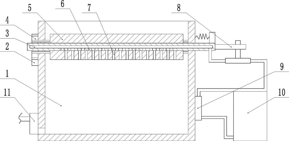 Codonopsis ginseng seedling planting method