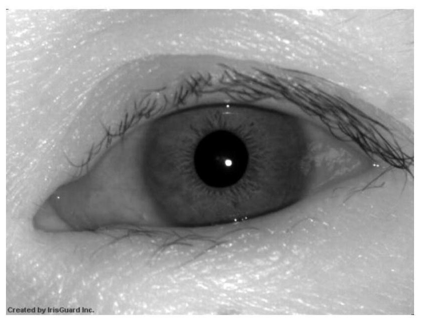 Dynamic iris positioning method based on pupil change