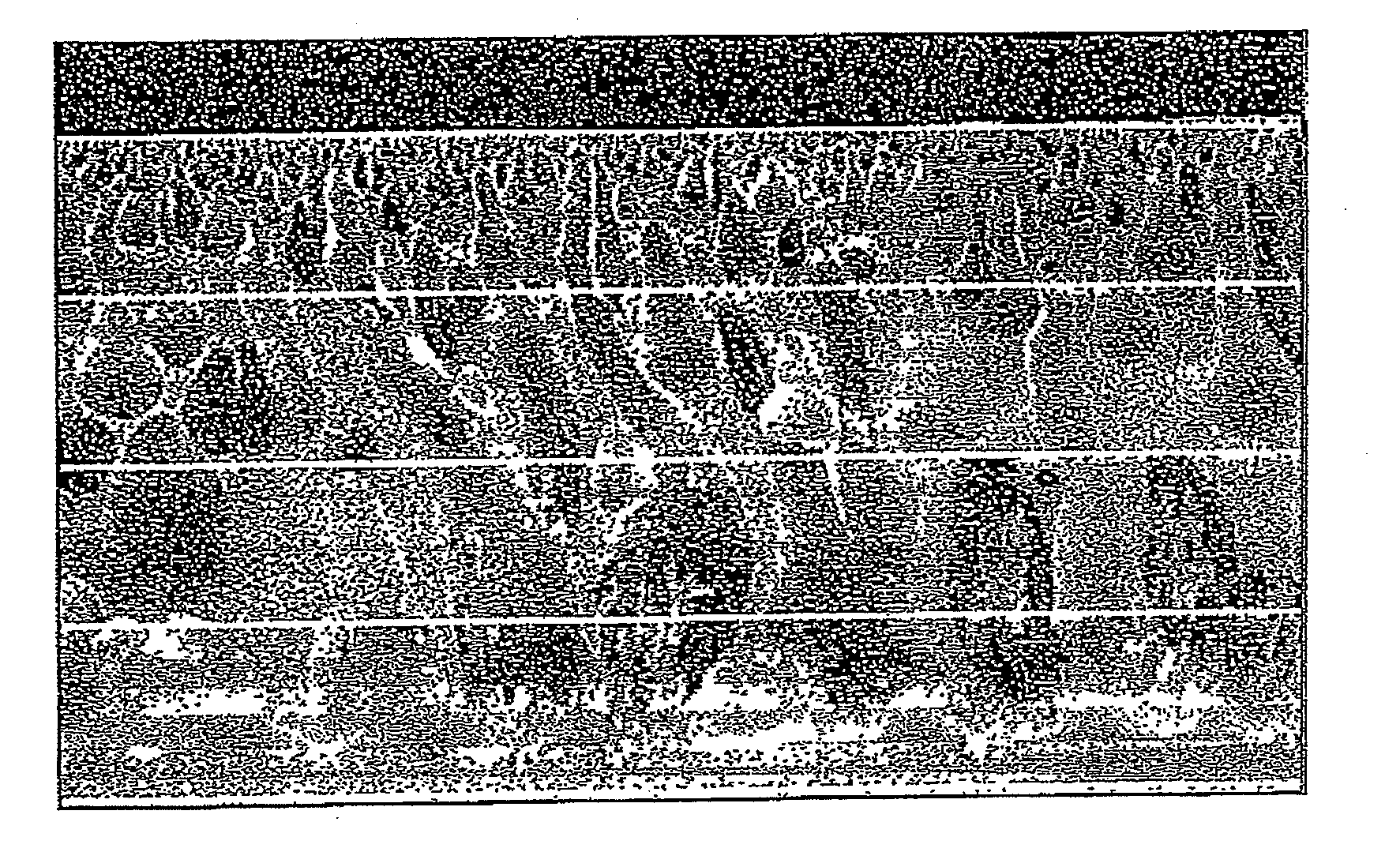 Layered sheets and processes for producing the same