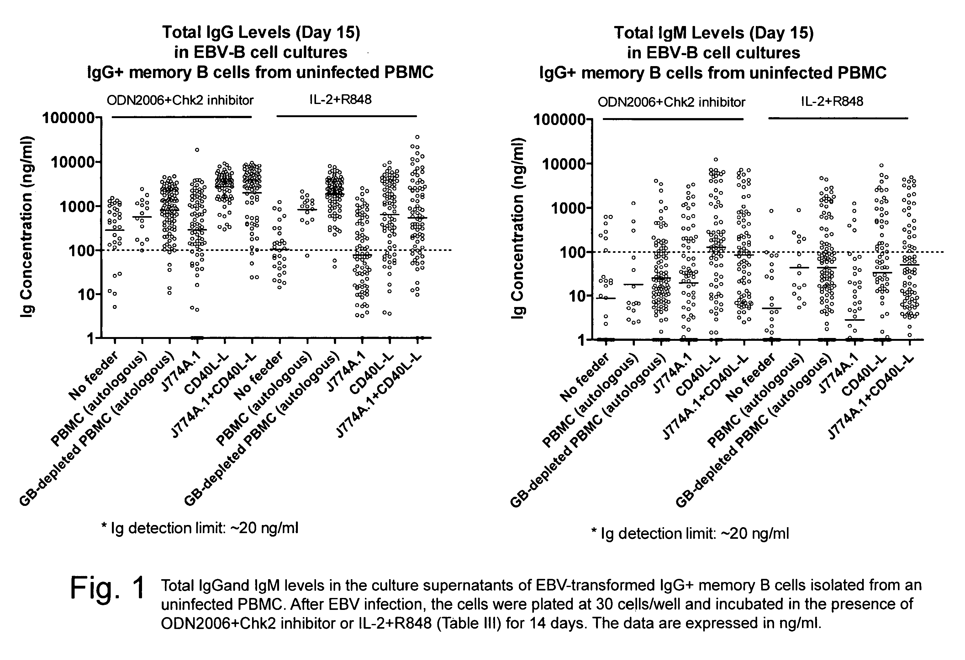 Method for the generation of monoclonal antibodies derived from human b cells