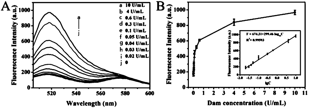 Method for detecting Dam methyltransferase activity based on base excision repair induction