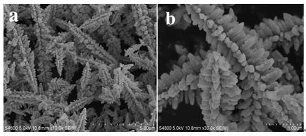 Preparation method of flower-like twin crystal phase Zn&lt;0.2&gt;Cd&lt;0.8&gt;S photocatalytic material