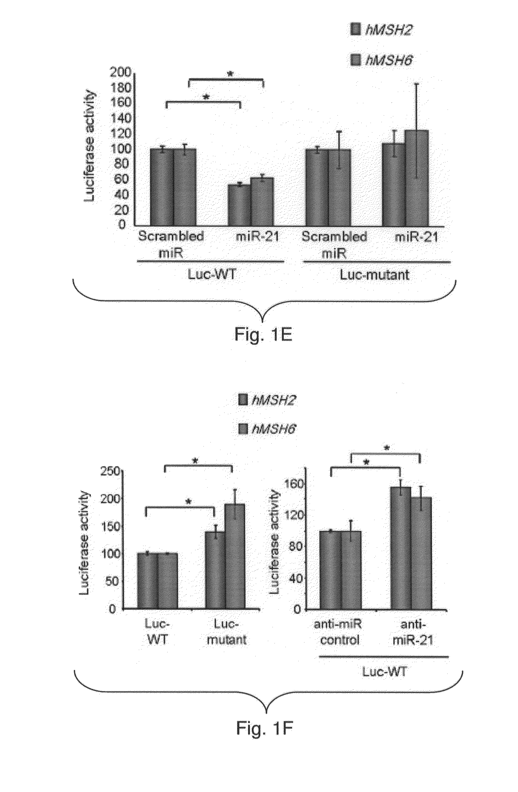 Materials and Methods Related to MicroRNA-21, Mismatch Repair, and Colorectal Cancer