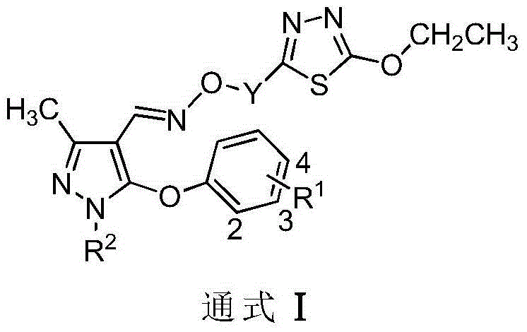 Preparation and application of compound containing 1,3,4-thiadiazole parazole oxime ether