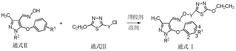 Preparation and application of compound containing 1,3,4-thiadiazole parazole oxime ether
