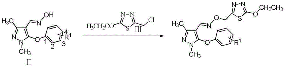 Preparation and application of compound containing 1,3,4-thiadiazole parazole oxime ether