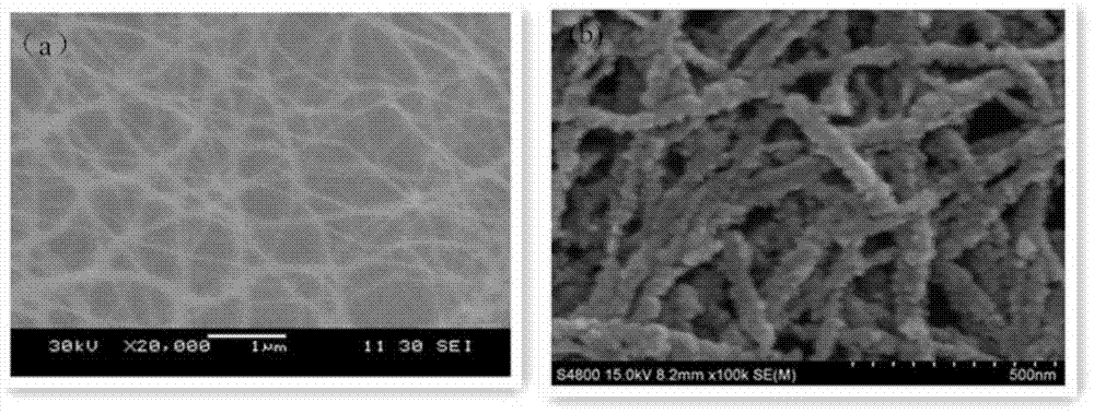 A bacterial cellulose membrane/porous carbon adsorbent and its preparation
