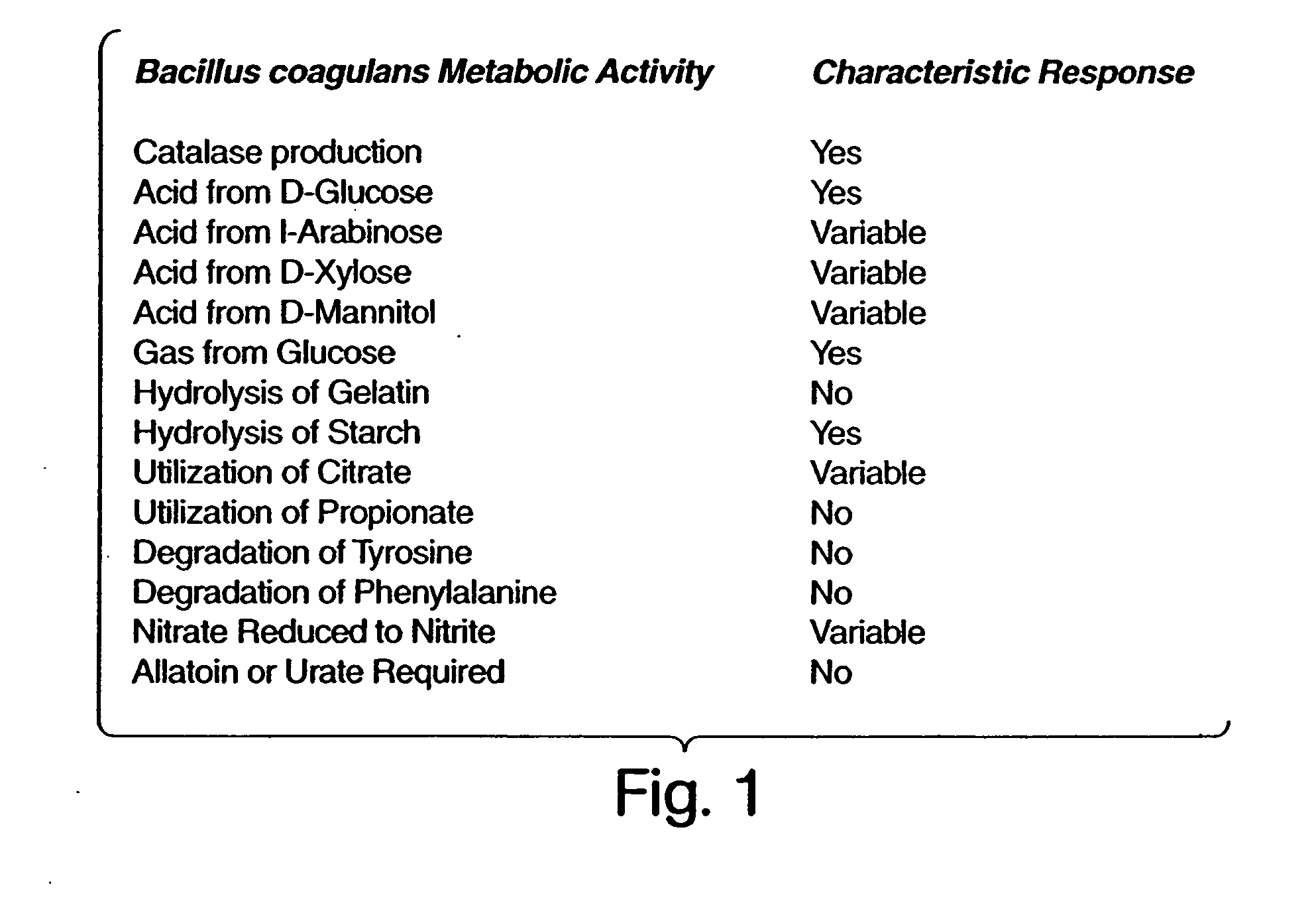 Topical compositions containing Bacillus coagulans extracellular products and uses thereof
