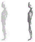 Dressed human body three-dimensional bare body model calculation method through single Kinect