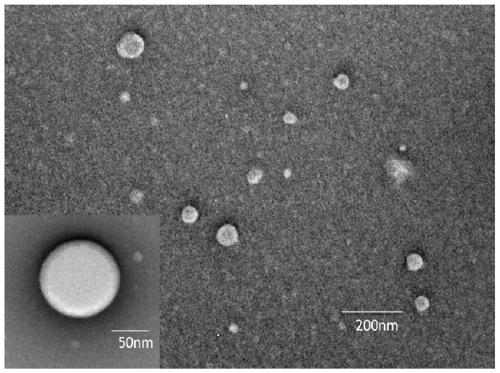 A drug-phospholipid/albumin composite nanoparticle and its preparation process