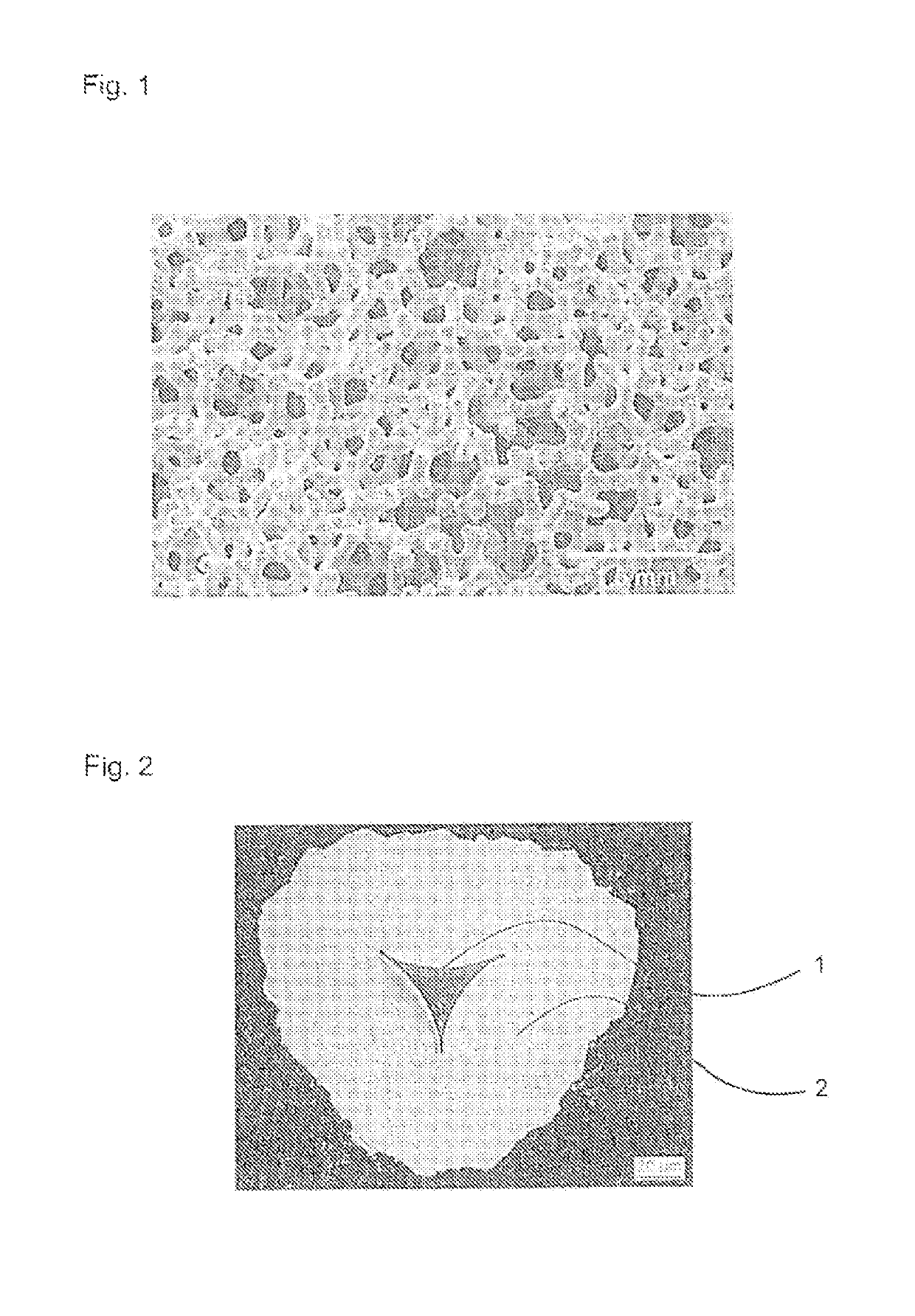 Ceramic bone substitute material and method for the production thereof