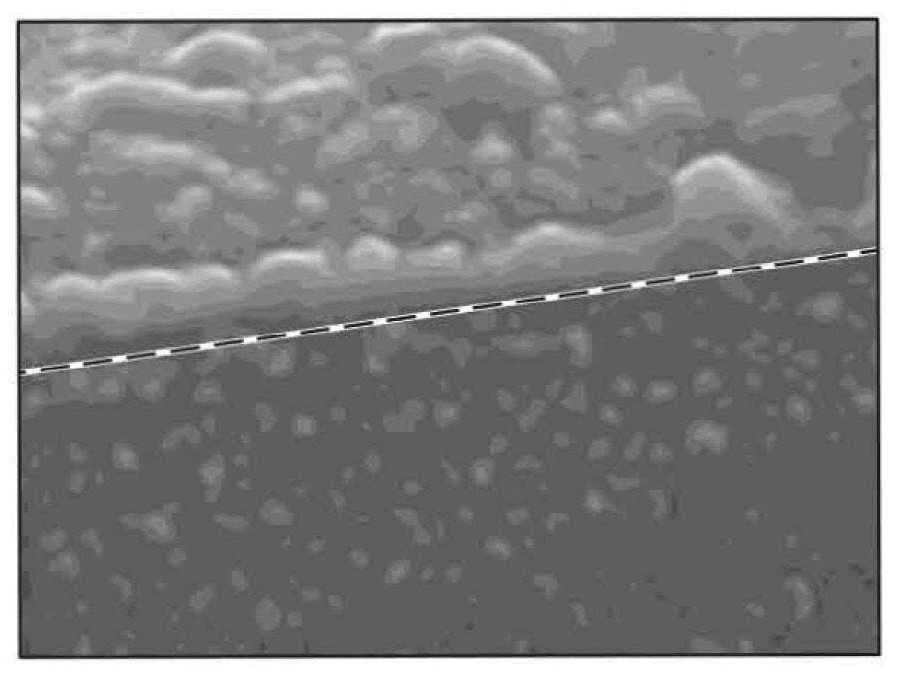 Conductive, Anti-corrosive magnesium titanium oxide catalyst support material