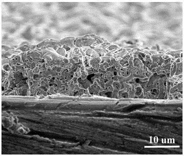 Micro-arc oxidation solution for titanium alloy strontium-containing biological coating and application of micro-arc oxidation solution