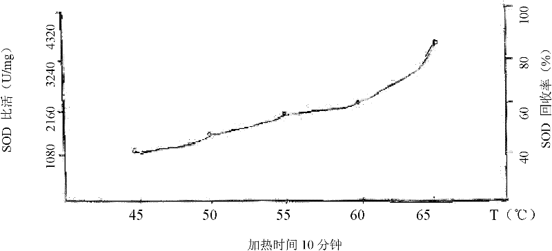 Method for extracting superoxide dismutase from cattle and sheep blood largly industrially and blade type agitator applied to same