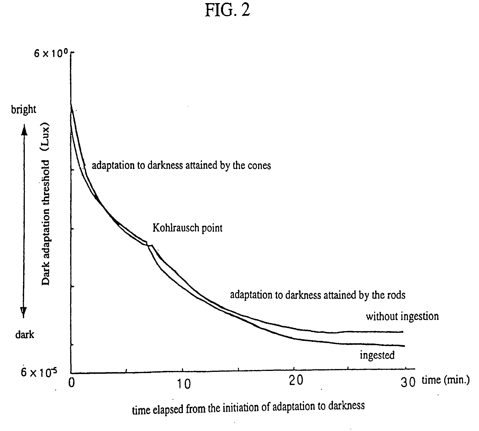 Compositions for food, process for producing the same, and functional foods and drinks containing the same