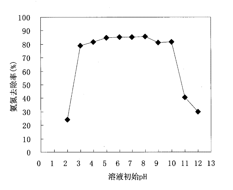 Method for preparing ammonia-nitrogen adsorbent by using leaves of Magnolia magnolia and application of adsorbent