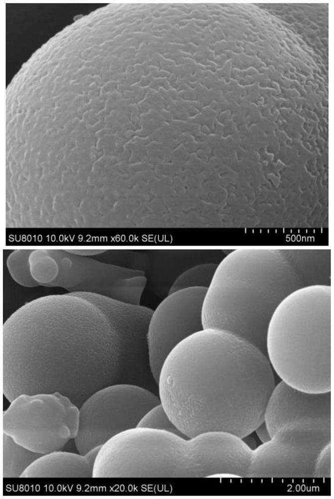 Carbon microsphere catalyst as well as preparation method and application