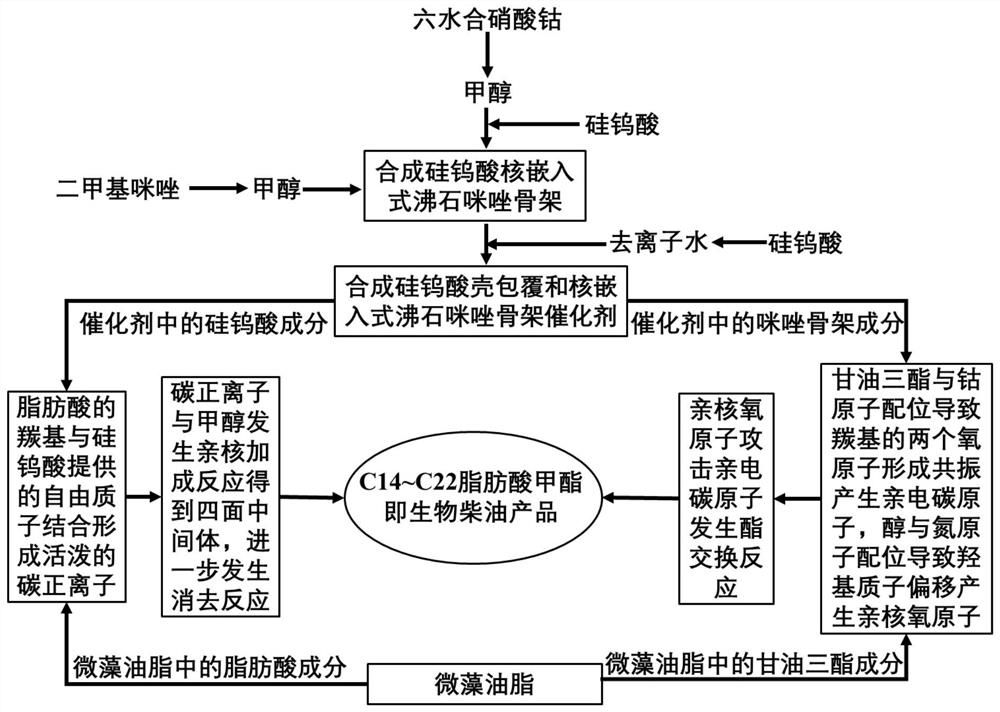 Preparation method and application of silicotungstic acid shell coating and core intercalation zeolite imidazole framework