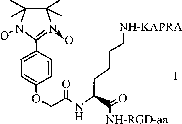 ARPAK/imidazolidine/RGD ternary conjugate, preparation method and uses thereof