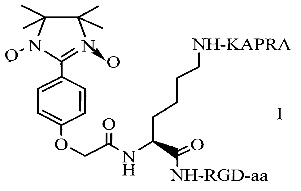 ARPAK/imidazolidine/RGD ternary conjugate, preparation method and uses thereof