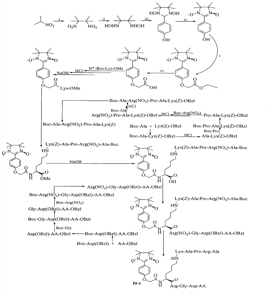 ARPAK/imidazolidine/RGD ternary conjugate, preparation method and uses thereof