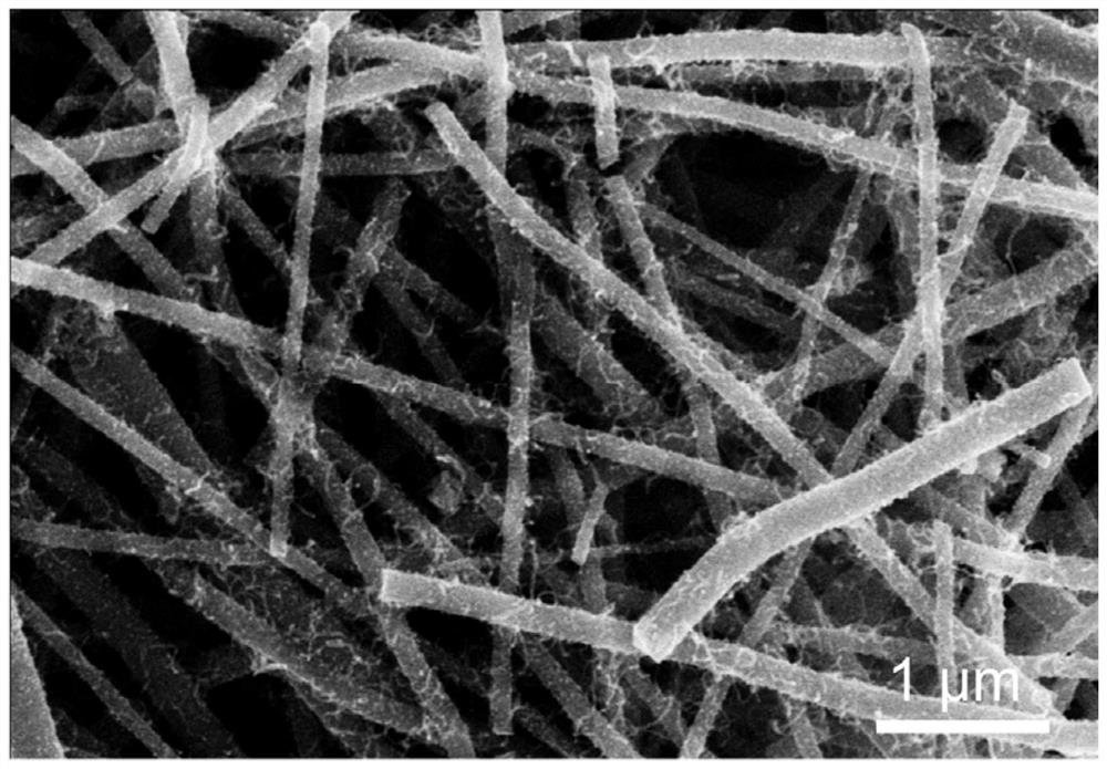 a load ni  <sub>3</sub> Preparation method of Fe-based nitrogen-doped carbon nanocomposite and its resulting materials and applications