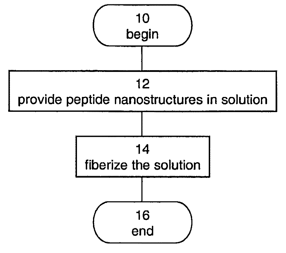 Method of forming a fiber made of peptide nanostructures