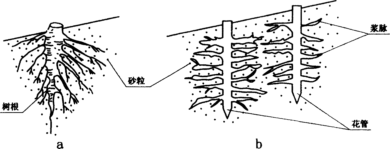 Slide sand-slope deep sand-fixation method