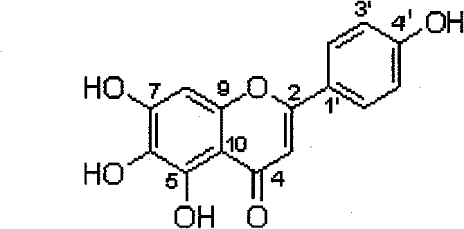 Method for preparing 5,6,7,4'-tetrahydroxyflavone