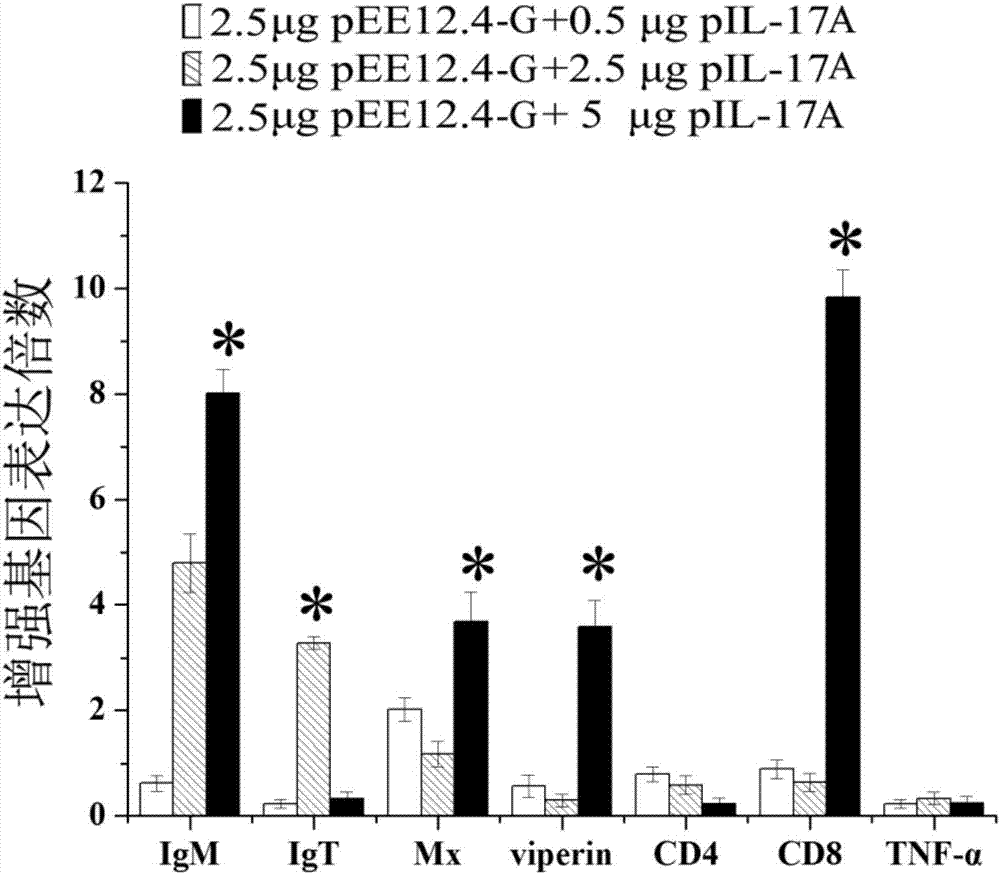 Application of IL-17A protein in preparing animal vaccine adjuvants