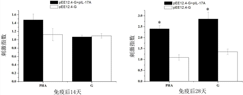 Application of IL-17A protein in preparing animal vaccine adjuvants