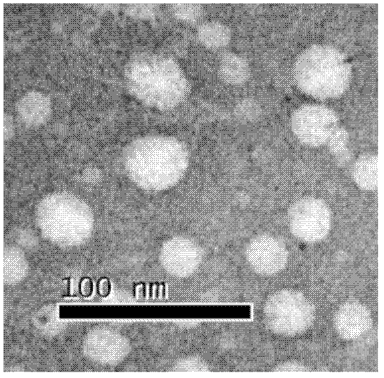 Preparation method for human papillomaviral empty capsid particles, and products thereof