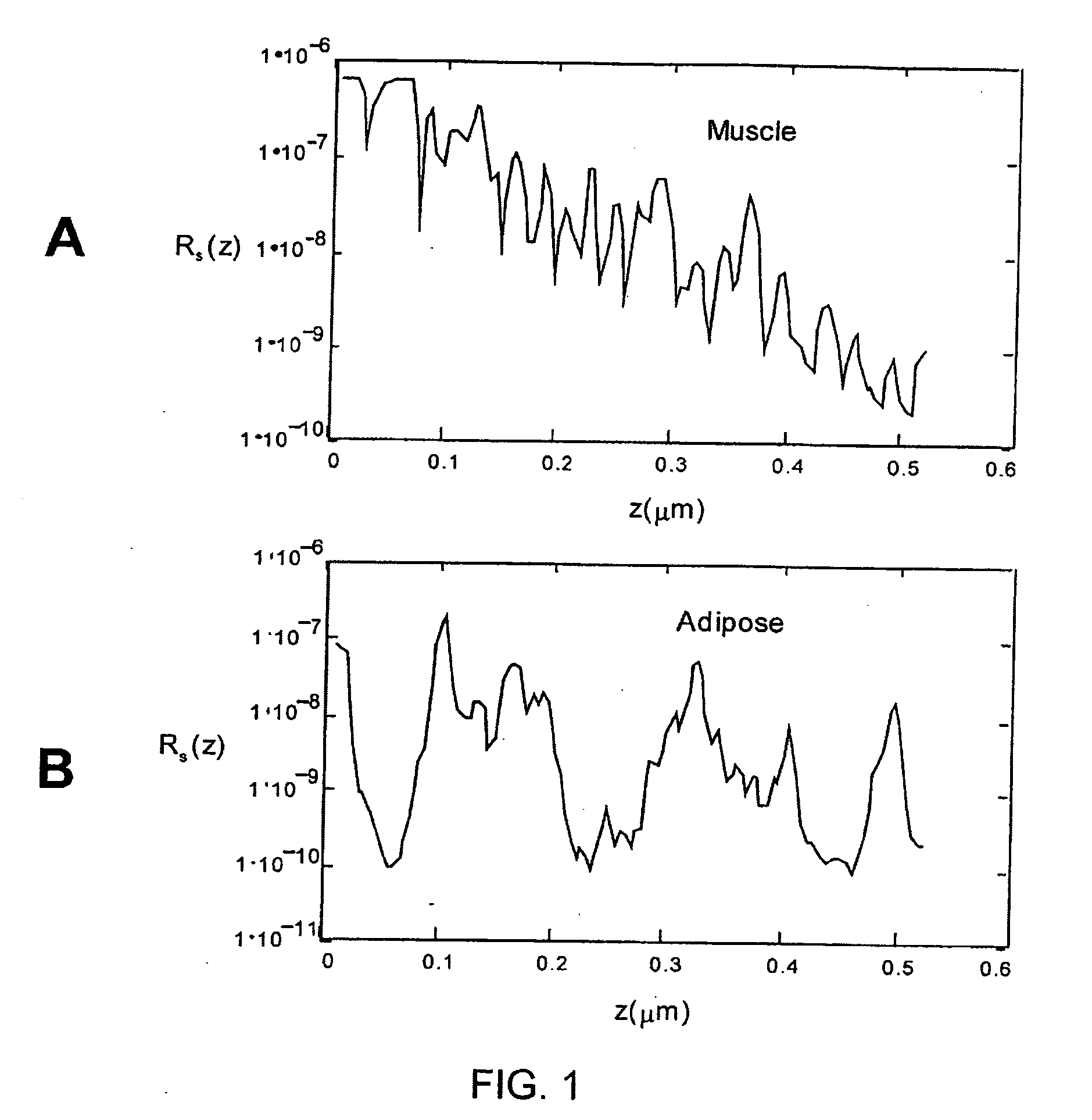 System and method for identifying tissue using low-coherence interferometry
