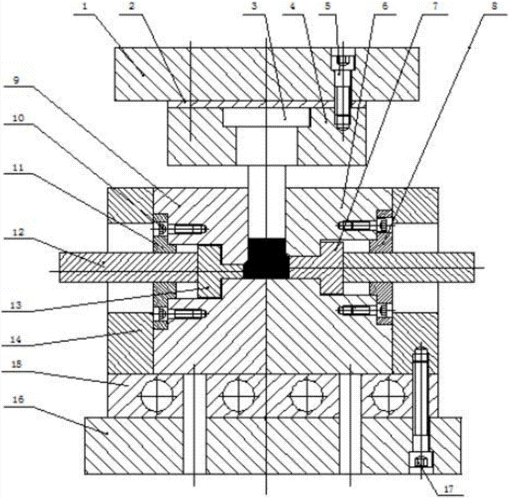 Metal liquid filling and plastic flowing composite die forging technology