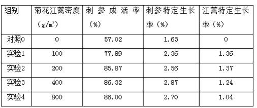 Method for promoting growth of net cage apostichopus japonicus fry through macrophytic algae