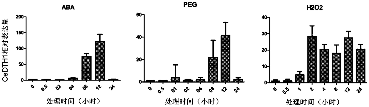 Rice stress resistance related gene OsDTH1 related to and its encoded protein and application thereof