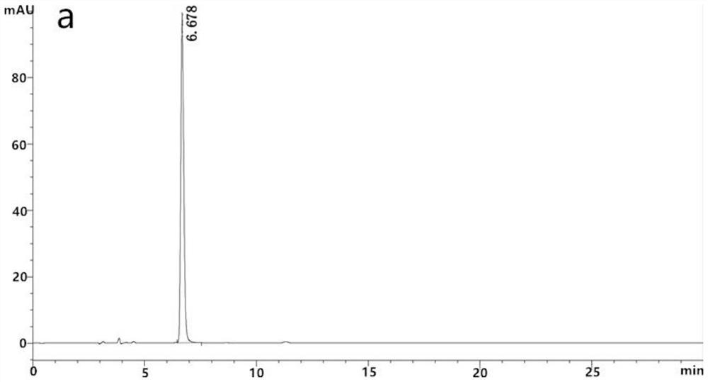 Serratia marcescens HL1 strain for treating Alzheimer's disease and application