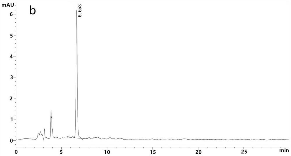 Serratia marcescens HL1 strain for treating Alzheimer's disease and application