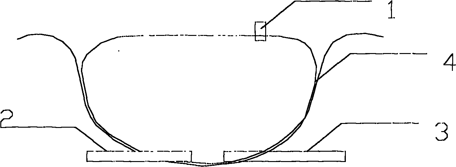 Bag type hydrolyzing and acidifying device for sewage treatment