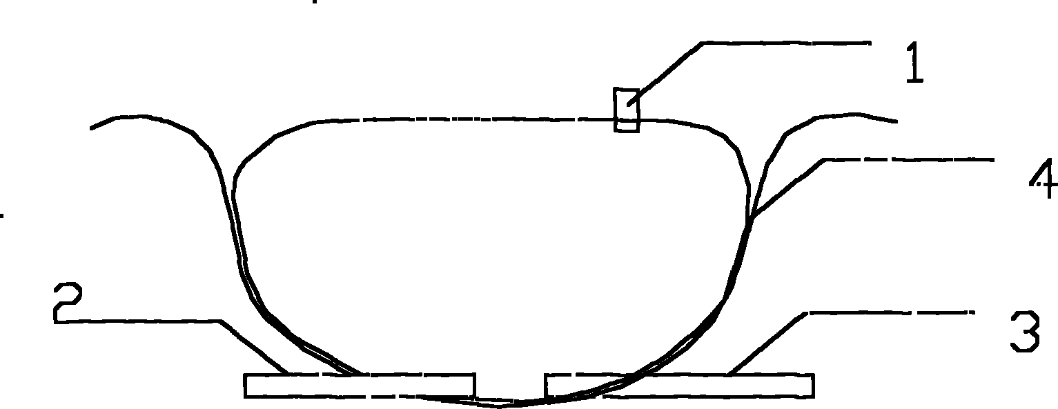 Bag type hydrolyzing and acidifying device for sewage treatment