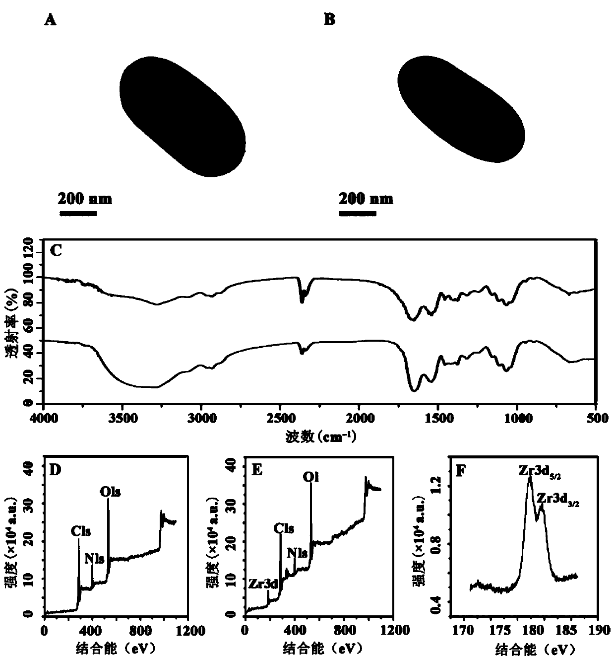 spore @zr  <sup>4+</sup> Preparation of functional microspheres and their application in immunoassay