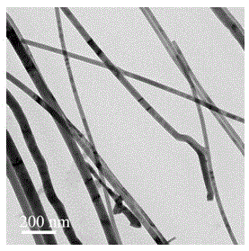 A kind of preparation method of copper indium selenium tellurium nanowire